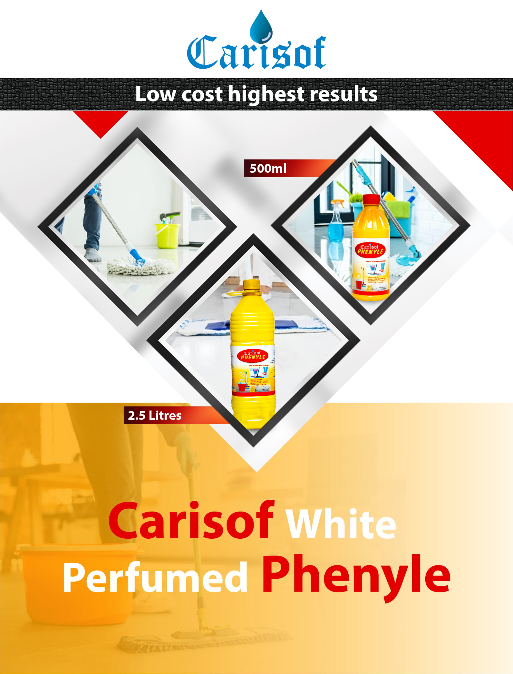 Carisof Web Hetro Banner MV-01 (2)